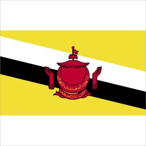 Zastava Bruneja