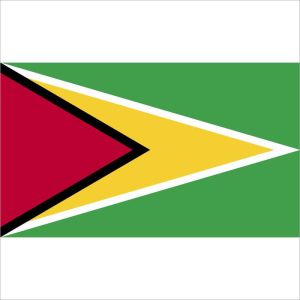 Zastava Gvajane