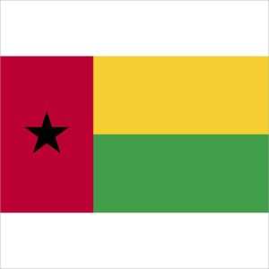 Zastava Gvineje Bisao
