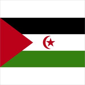 Zastava Zapadne Sahare