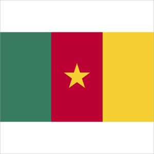 Zastava Kameruna
