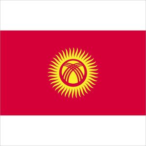 Zastava Kirgistana