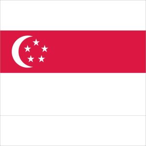 Zastava Singapura